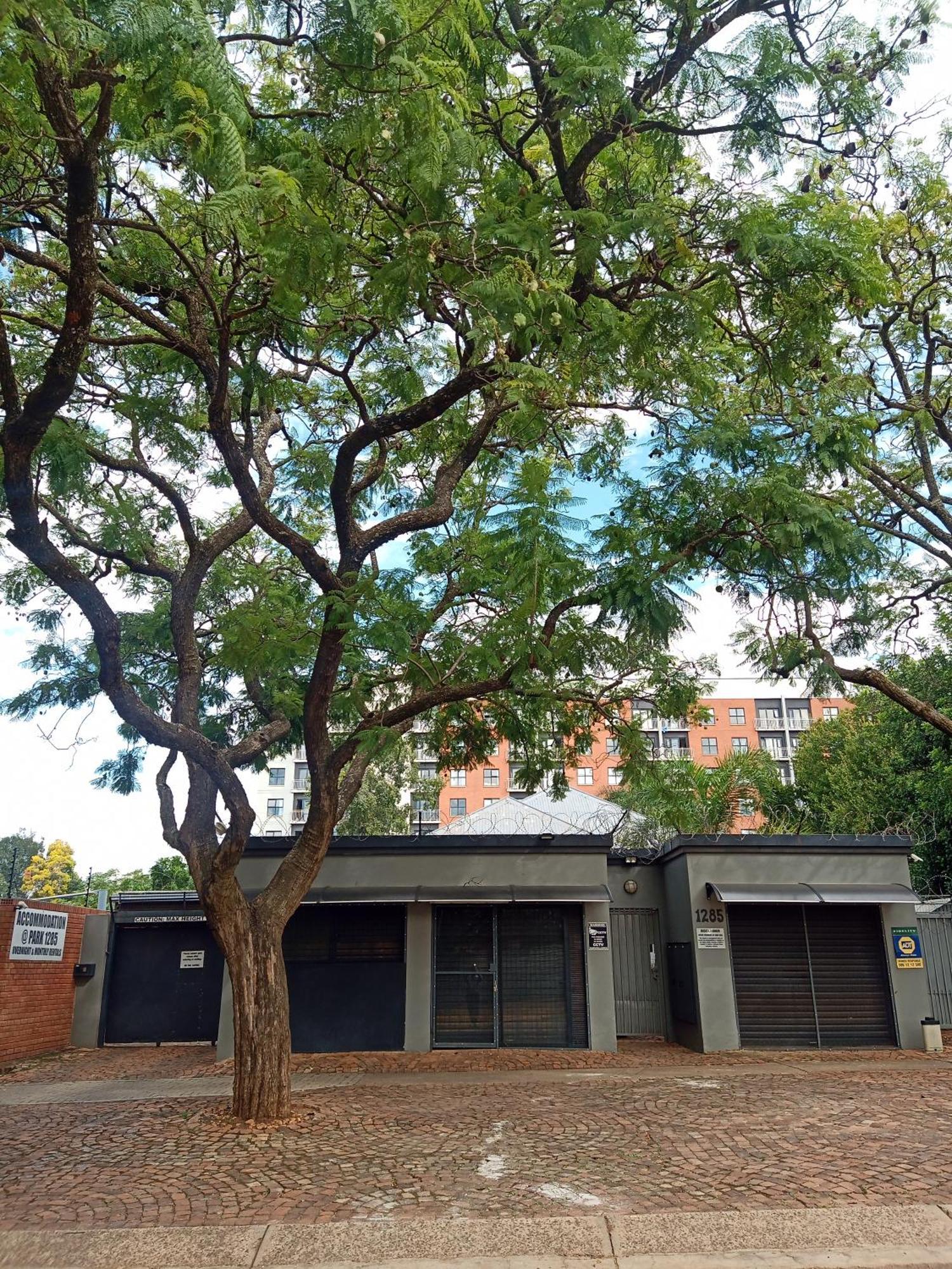 Accommodation@Park1285 Pretoria-Noord Eksteriør billede